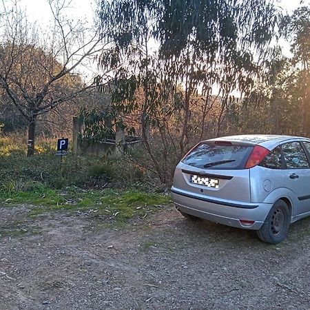 Watermill Moinho Garcia Hostel Pinheiro da Bemposta Kültér fotó