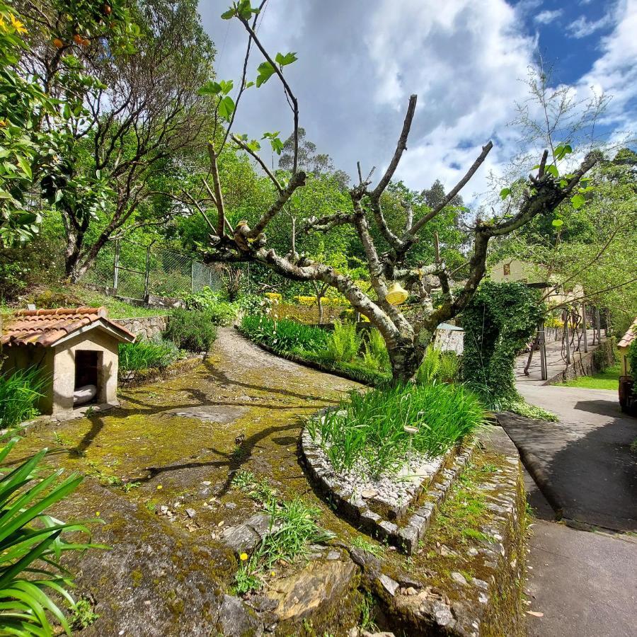 Watermill Moinho Garcia Hostel Pinheiro da Bemposta Kültér fotó