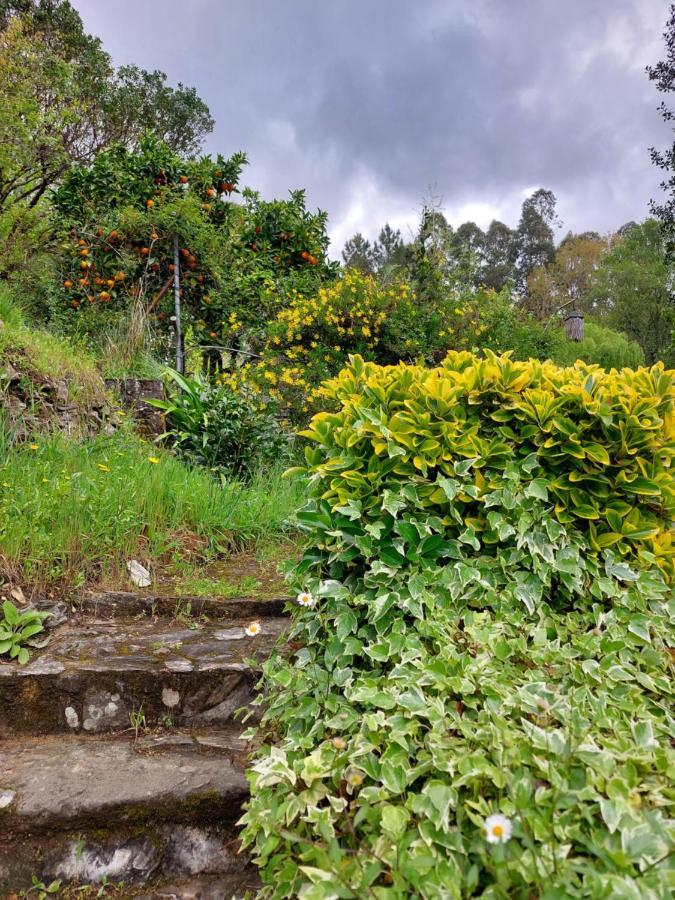 Watermill Moinho Garcia Hostel Pinheiro da Bemposta Kültér fotó