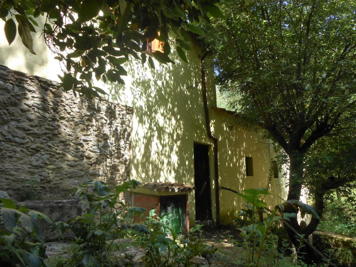 Watermill Moinho Garcia Hostel Pinheiro da Bemposta Kültér fotó