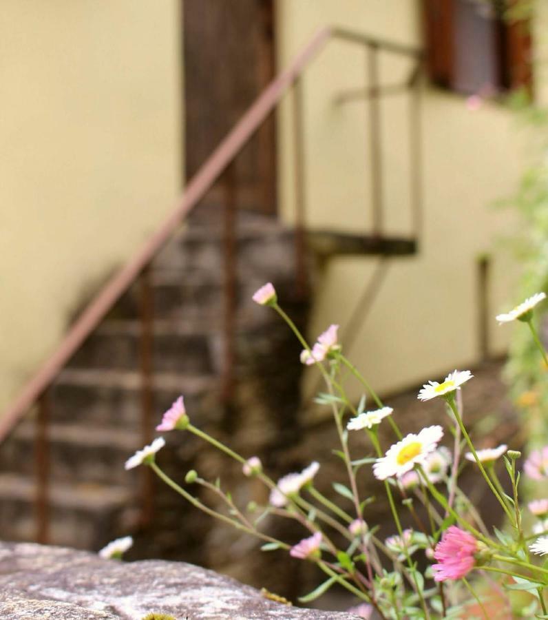 Watermill Moinho Garcia Hostel Pinheiro da Bemposta Kültér fotó